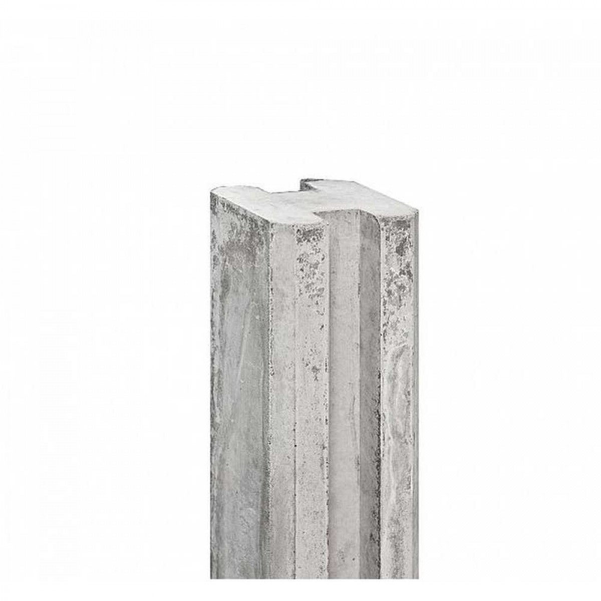opbouwen Minachting wonder Tussenpaal beton 80cm online kopen | Bouwkampioen